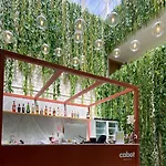 Cabot Velas